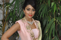 Shriya Saran New Photos